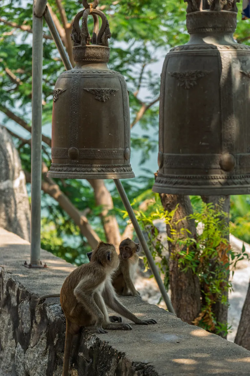 Two long-tailed macaques sitting on a stone wall beneath large ornate bronze temple bells at a Buddhist temple, likely in Thailand. The bells feature intricate decorative carvings and are suspended from metal poles. One monkey faces away while a smaller one looks toward the camera. Lush green tropical trees and foliage fill the background, with glimpses of a pale blue sky visible through the canopy. The scene captures the coexistence of wildlife and sacred architecture common at Southeast Asian temple sites.