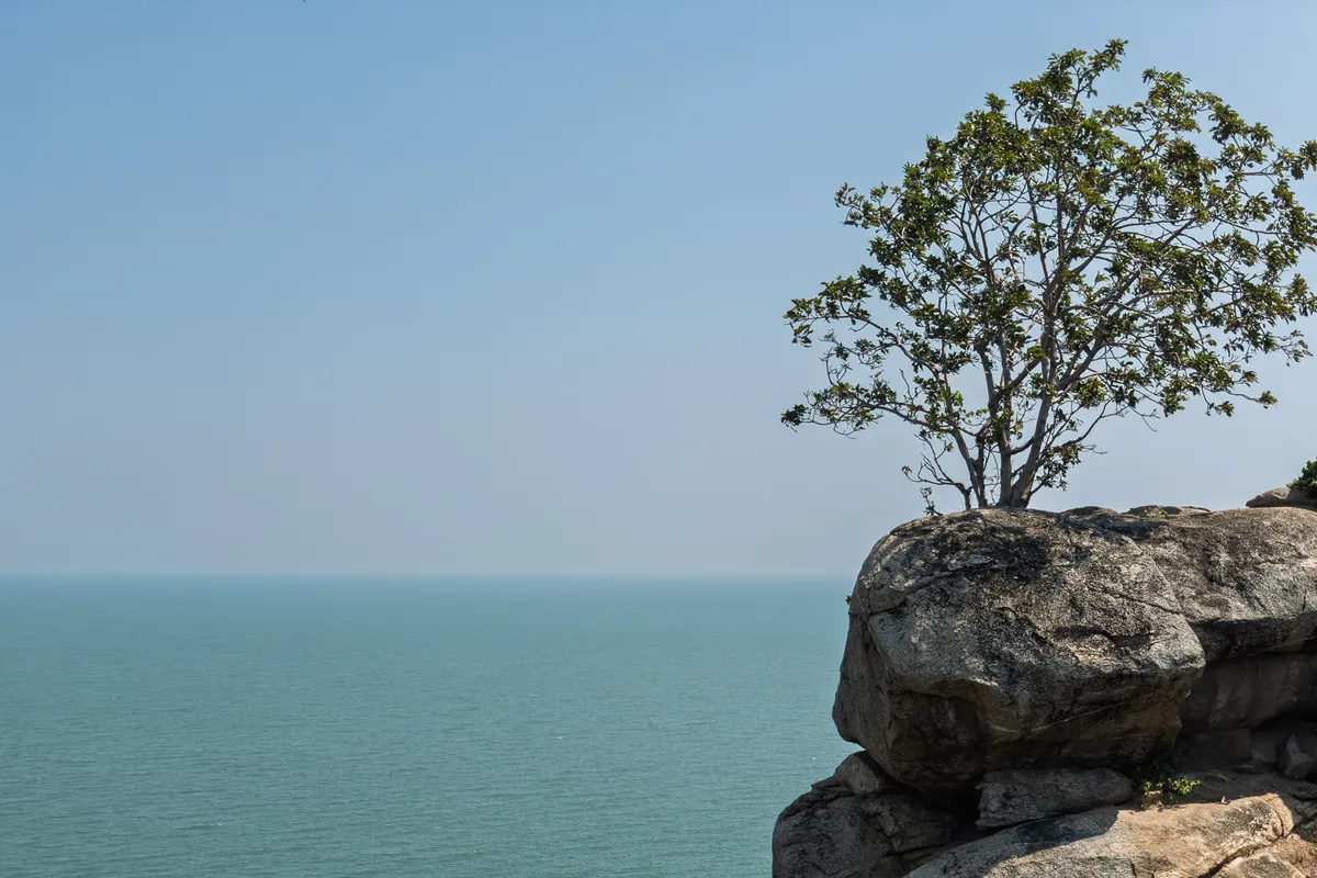 A single tree with green foliage grows on a massive, rounded granite outcrop that juts out as a cliff over a calm, turquoise sea. The tree stands prominently at the right of the frame, its sweeping branches silhouetted against the bright, slightly hazy sky. The horizon merges seamlessly between the still sea and pale sky, with a thin haze blurring the line between water and air. The layered rocks are grey and weathered, streaked with fine cracks and fissures. Low vegetation sprouts here and there between the crevices. The scene conveys calm, solitude and the resilience of nature.
