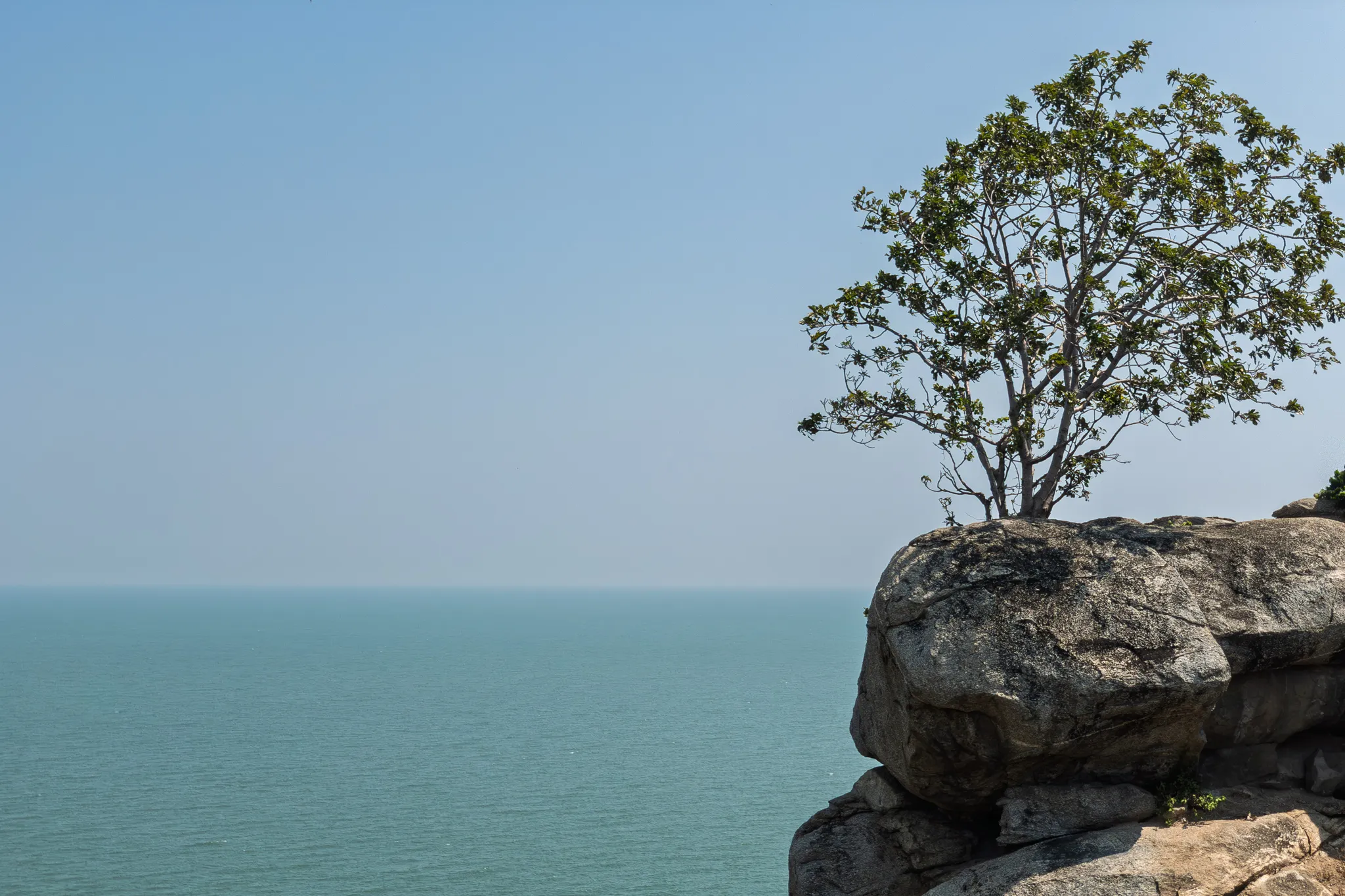 A lone tree with green foliage grows from the top of a large, weathered granite rock formation that juts out over a calm, turquoise sea. The rocky cliff face shows layered, rounded boulders stacked naturally. The horizon line where the hazy sky meets the tranquil ocean is barely distinguishable due to a soft atmospheric haze. The scene conveys solitude, resilience, and the quiet beauty of nature, with the tree thriving in an unlikely rocky perch high above the water.