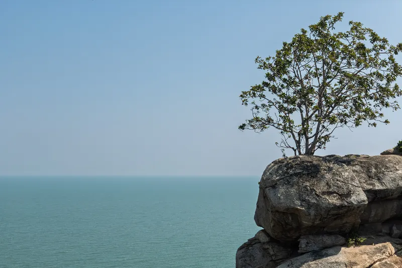 A lone tree with green foliage grows from the top of a large, weathered granite rock formation that juts out over a calm, turquoise sea. The rocky cliff face shows layered, rounded boulders stacked naturally. The horizon line where the hazy sky meets the tranquil ocean is barely distinguishable due to a soft atmospheric haze. The scene conveys solitude, resilience, and the quiet beauty of nature, with the tree thriving in an unlikely rocky perch high above the water.