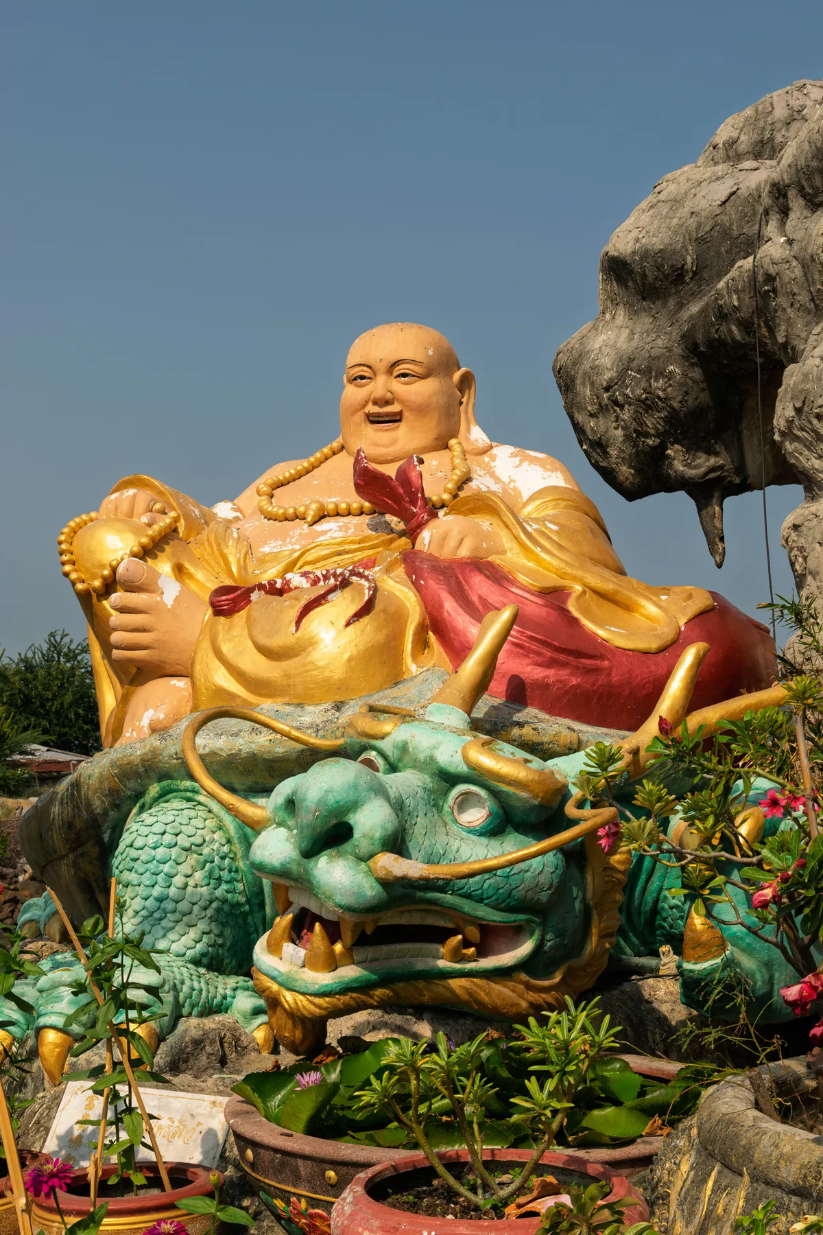 A large, colourful statue of a laughing, pot-bellied Buddha (Budai/Hotei) in a golden and red robe, wearing a prayer bead necklace and holding another in his right hand. He sits relaxed atop a large turquoise dragon with golden horns, whiskers and a gaping mouth of visible teeth. The statue shows wear, with paint flaking in several places. In the background, a large grey rock formation rises on the right, and the sky is clear and light blue. In the foreground and along the sides, various tropical plants grow in pots, including adenium (desert rose) with pink blooms and green shrubs. The scene is likely in a Buddhist temple garden in Southeast Asia.