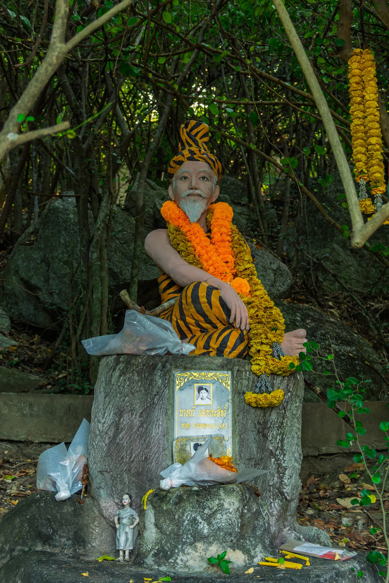 A Thai spirit shrine featuring a painted statue of a hermit (ruesi or rishi) seated cross-legged on a large rock. The figure wears tiger-striped clothing and a matching tiger-patterned turban, has a white beard, and is adorned with bright orange and yellow marigold garlands draped around his neck and shoulders. Below the statue, a memorial plaque with Thai script is affixed to the rock, displaying a black-and-white portrait photo of a woman and a date. At the base of the rock, a small silver-colored figurine of a child stands among scattered offerings including plastic bags, flower petals, and other devotional items. The shrine is set against a backdrop of dense, intertwining mangrove-like tree branches and green foliage, with rocks and fallen leaves on the ground.