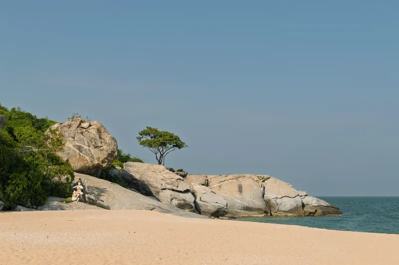 A sandy beach stretches across the foreground, leading to a dramatic rocky outcrop that juts into a calm, greenish-blue sea. The large granite boulders are weathered and cracked, with visible veins of lighter mineral running through them. A solitary tree with a broad, flat canopy grows atop the rocks, silhouetted against a clear, pale blue sky. Lush green vegetation covers the hillside to the left of the rocks. A small figure, possibly a person or statue, sits at the base of the rocks on the left side. The scene is bathed in warm, bright daylight with a tranquil, tropical atmosphere. The ocean extends to the horizon on the right side of the frame.