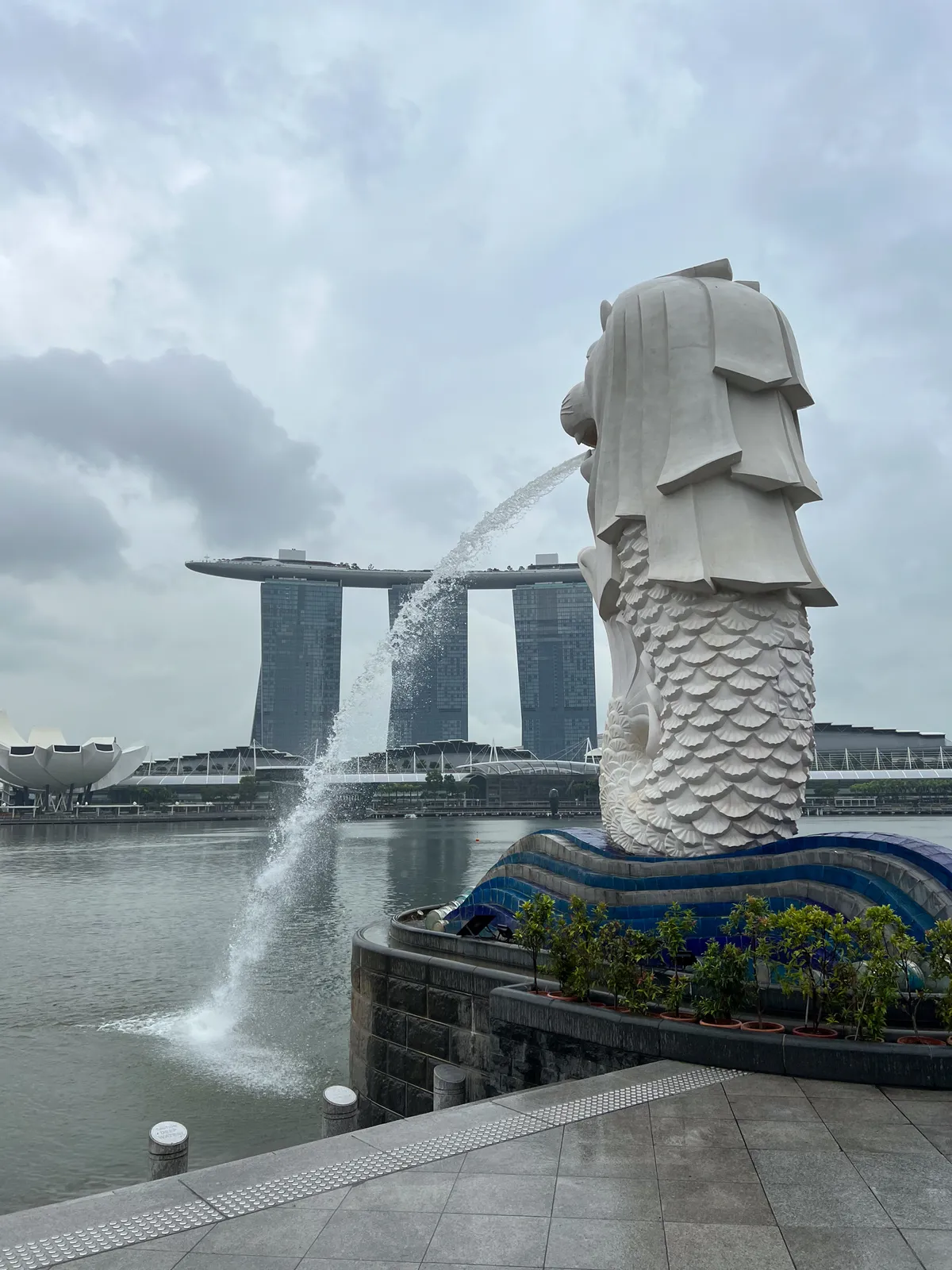 In the Civic District, Downtown Core, Central Region, Singapore, 179803, the famous Merlion statue spouts water into the Singapore River. In the background, the modern high-rises of Marina Bay Sands stand out with their striking design. The sky is overcast, lending the scene a calm, muted atmosphere. Small planters are arranged around the Merlion, and the concrete ground reflects the jet of water from the fountain.
