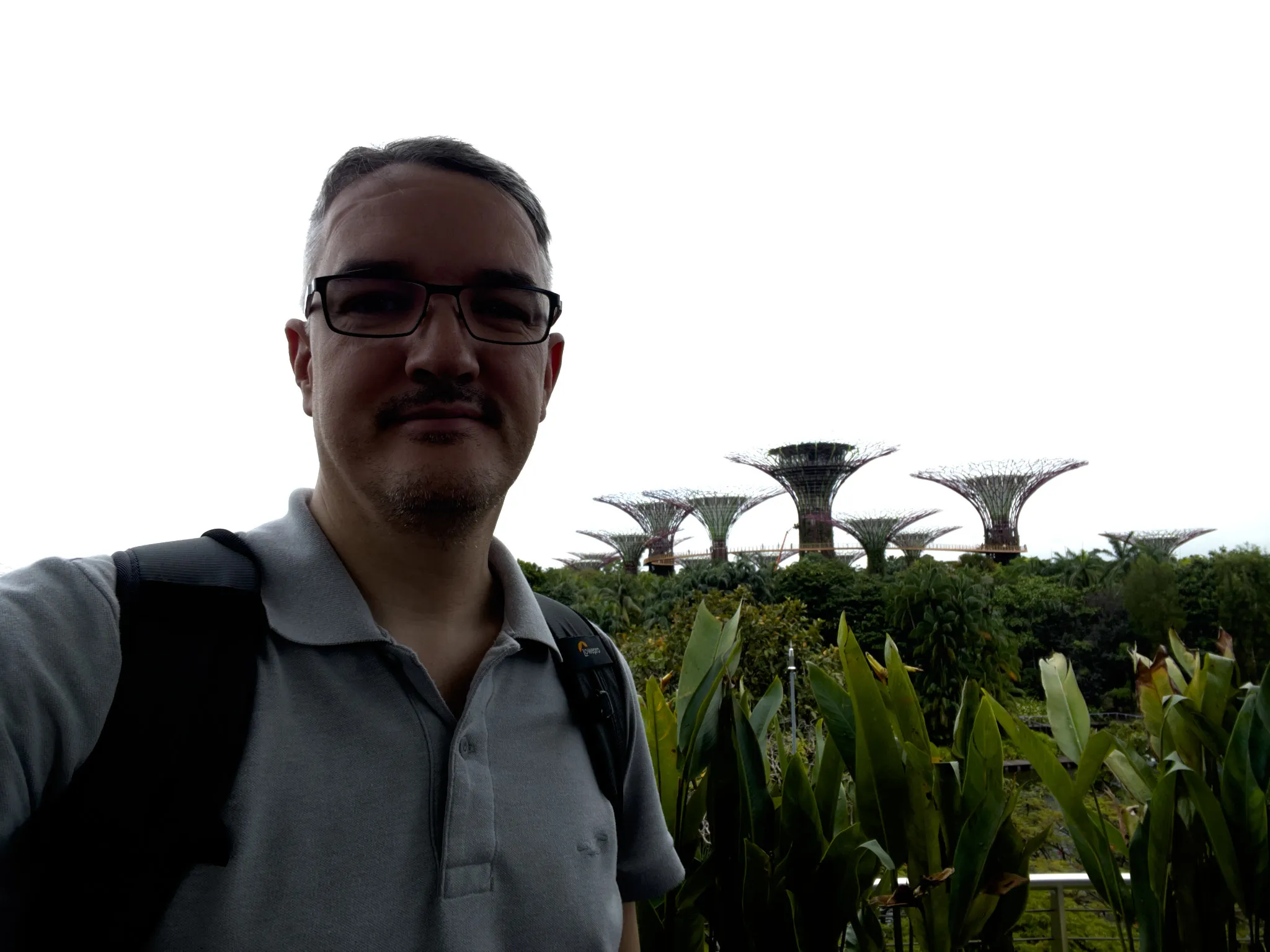 A person stands in the foreground in partial silhouette with a backpack, while large tree‑like metal structures rise above dense tropical greenery in the background. Tall leaves and plants fill the lower portion of the scene, and the sky above is bright and overexposed, creating strong contrast against the distinctive towering structures.