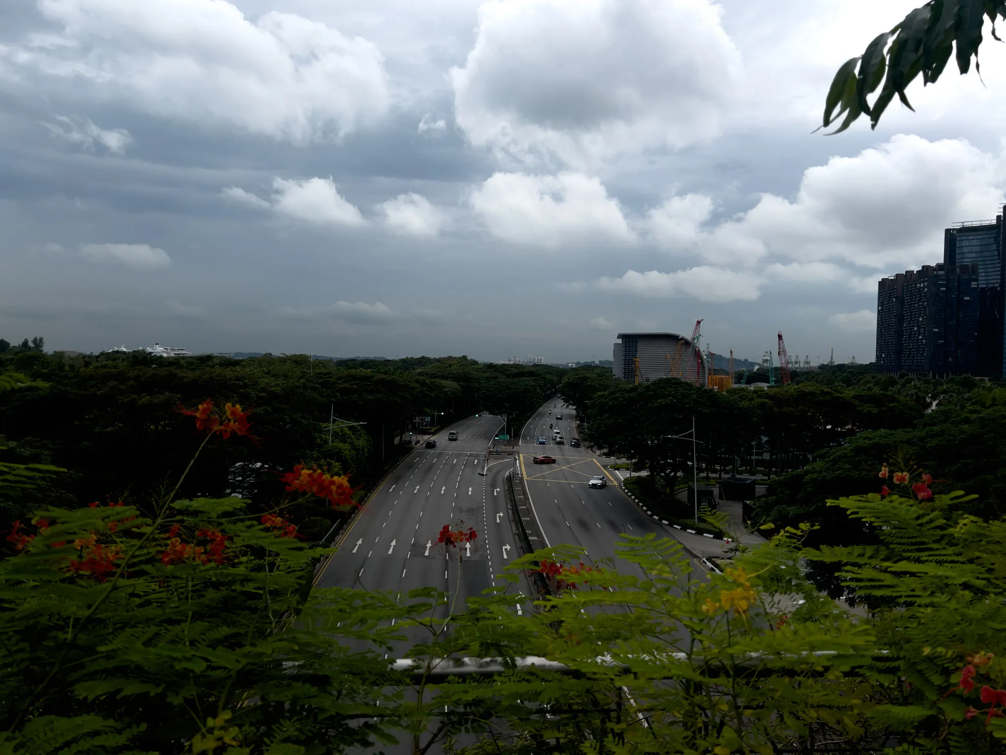 Wide multi‑lane roadway stretching into the distance, surrounded by dense green trees and bordered in the foreground by branches with small orange flowers. A few cars travel along the lanes toward and away from the horizon. Tall modern buildings rise on the right side, while cranes and low industrial structures appear farther back. The sky is filled with thick, layered gray clouds, giving the scene a moody, overcast atmosphere.
