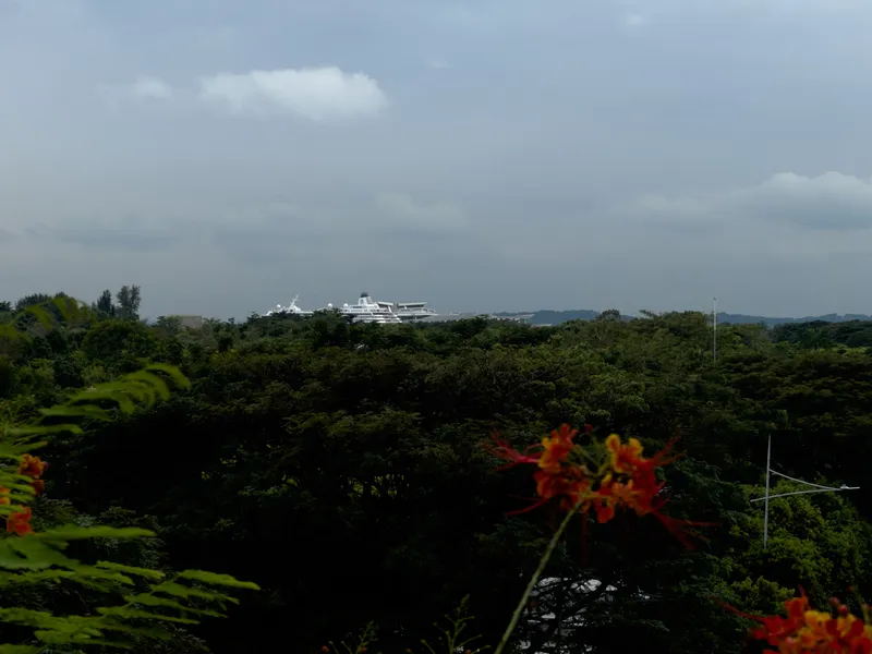 A large white ship appears in the distance above a dense expanse of green treetops under a cloudy sky, with bright orange-red flowers and lush foliage framing the foreground.