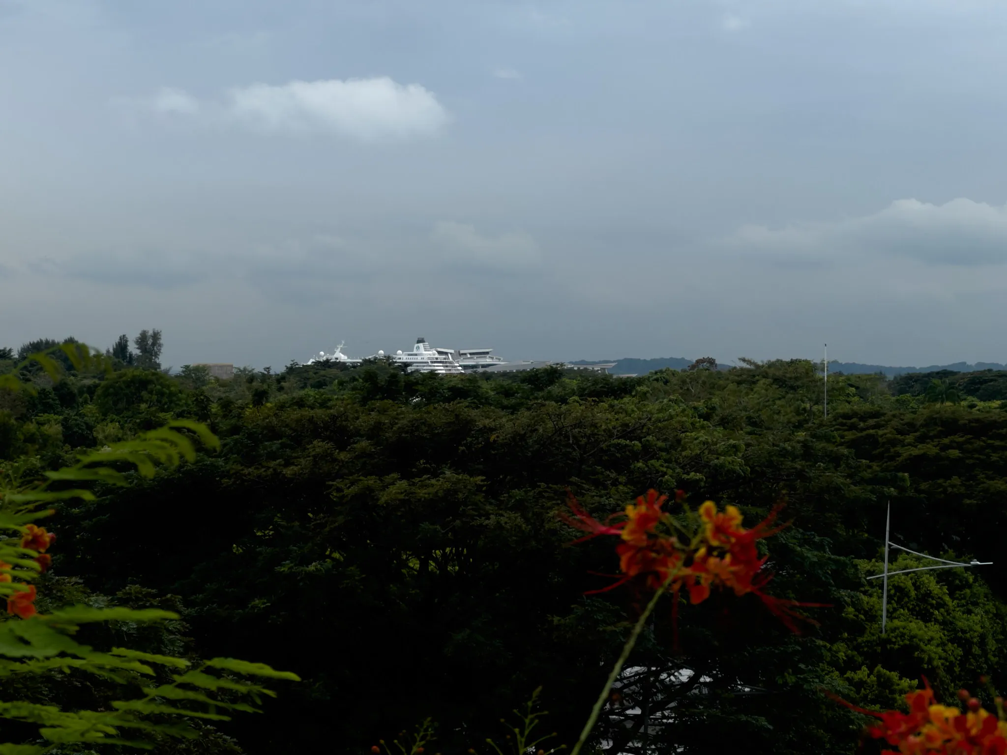 A large white ship appears in the distance above a dense expanse of green treetops under a cloudy sky, with bright orange-red flowers and lush foliage framing the foreground.