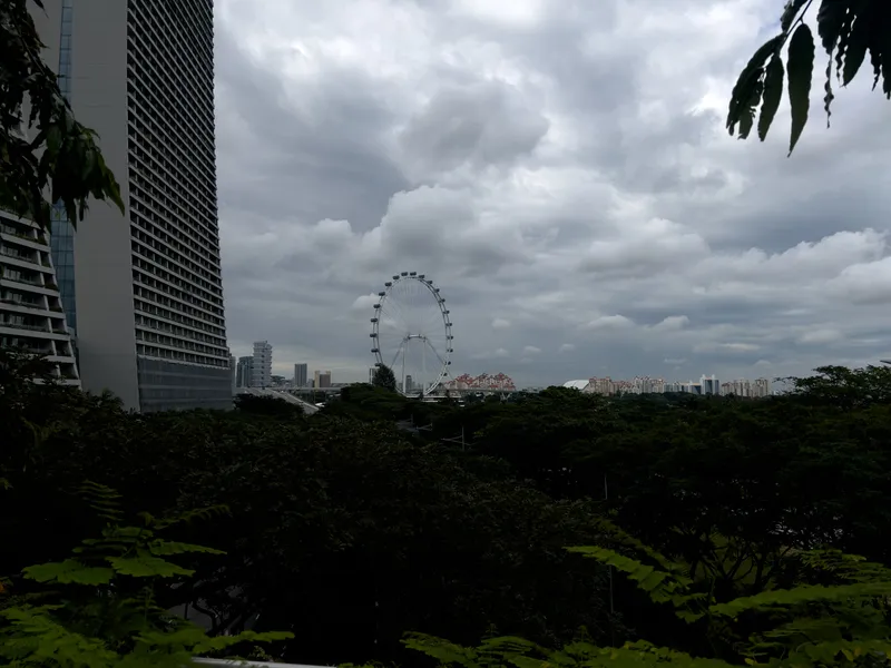 A large Ferris wheel stands prominently in the distance, rising above dense green foliage that covers the lower half of the scene. To the left, a tall modern building with a grid-like exterior curves slightly as it ascends. In the background, a collection of high-rise buildings stretches across the horizon. Dark, heavy clouds fill the sky, casting a subdued light over the urban and natural elements. Leaves from nearby trees frame the view at the top and bottom edges.