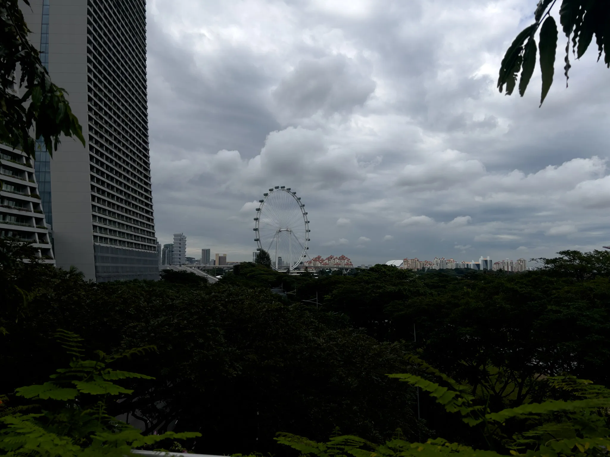 A large Ferris wheel stands prominently in the distance, rising above dense green foliage that covers the lower half of the scene. To the left, a tall modern building with a grid-like exterior curves slightly as it ascends. In the background, a collection of high-rise buildings stretches across the horizon. Dark, heavy clouds fill the sky, casting a subdued light over the urban and natural elements. Leaves from nearby trees frame the view at the top and bottom edges.