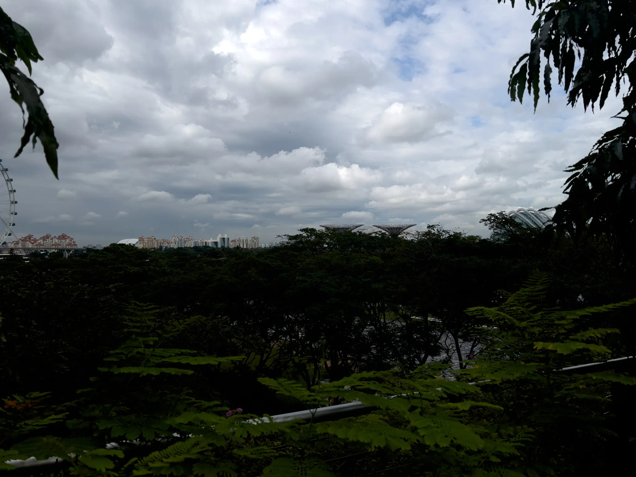 Dense green foliage in the foreground frames a broad expanse of treetops stretching toward a distant skyline of tall buildings. A large Ferris wheel is partially visible on the left, while distinctive futuristic structures rise subtly above the trees on the right. The sky is filled with thick, layered clouds that cast a dim, moody light across the landscape.