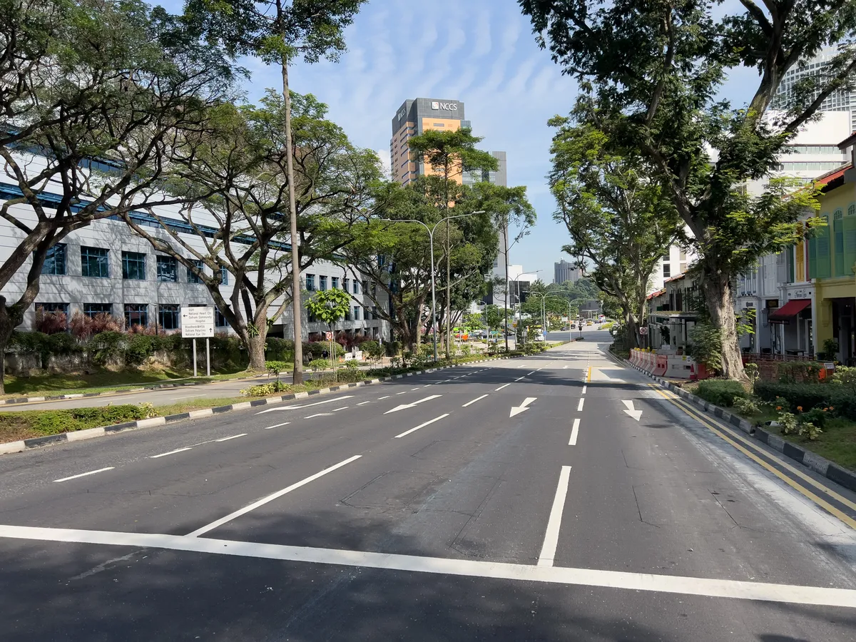A deserted street in Tanjong Pagar, Outram, Central Region, Singapore, opens in the foreground with its asphalted roadway, several lanes and lane markings. Large, green trees flank both sides of the street and cast shade. On the left stands a modern building with blue windows and informational signage. On the right, colourful historic houses with shutters contrast with the modern architecture. In the background, further modern buildings rise against a clear blue sky.