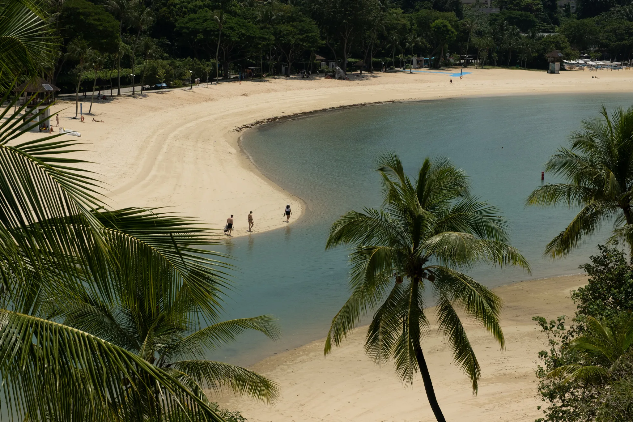 An elevated view of a curved tropical beach with soft white sand wrapping around calm, turquoise-blue shallow water. Three people walk along the shoreline near the water's edge. Lush coconut palm trees frame the foreground, while dense tropical vegetation and tall trees line the back of the beach. In the distance, beach amenities including umbrellas and small structures are visible along the tree-lined shore. The scene has a serene, resort-like atmosphere, likely Sentosa Island in Singapore, with the well-maintained sandy cove curving gently into a sheltered lagoon.