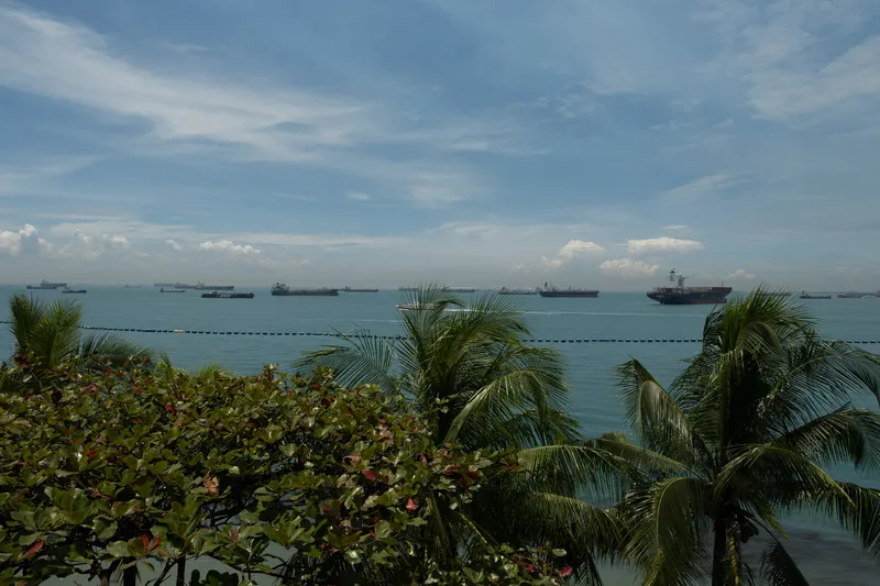 A panoramic coastal view overlooking a busy shipping lane with numerous cargo ships and tankers anchored across the turquoise-green sea. The vessels stretch across the horizon from left to right, some appearing as large container ships while others are smaller freight vessels. In the foreground, lush tropical vegetation dominates the lower portion of the scene, including coconut palm trees with their fronds swaying and a broad-leafed tropical tree, likely a sea almond. A floating barrier or boom line extends across the water between the foreground shore and the anchored ships. The sky above is partly cloudy with wispy cirrus clouds and cumulus formations near the horizon, creating a bright, hazy tropical atmosphere. The scene is reminiscent of the Singapore Strait or a similar major Southeast Asian shipping corridor.