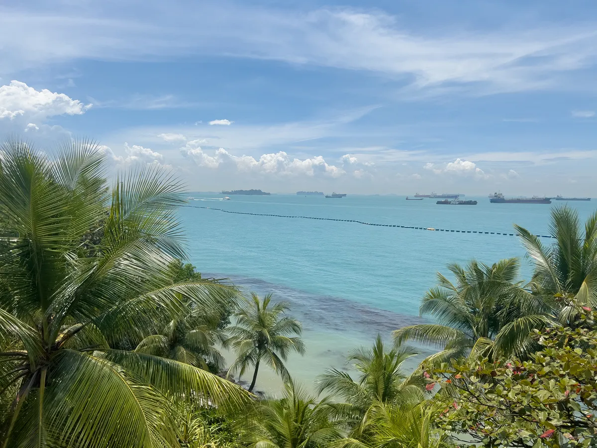 The view from Fort Siloso in the Southern Islands, Central Region, Singapore, shows a picturesque coastal landscape framed by lush green palms in the foreground. The clear turquoise water stretches to the horizon, where numerous cargo ships pass in the distance beneath a soft, cloudy sky. The atmosphere conveys a sense of calm and tropical beauty.