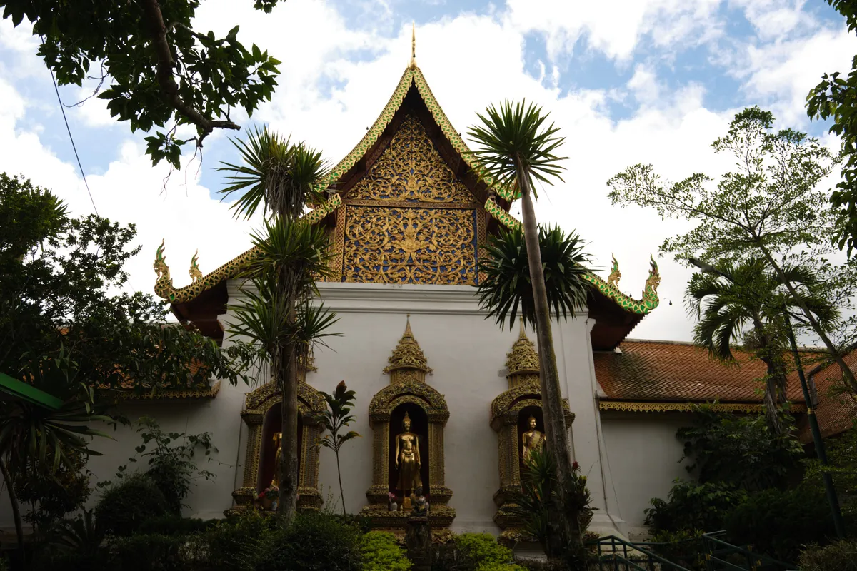 A Thai Buddhist temple with a striking, steeply pitched gable roof decorated with elaborate golden carvings and floral ornaments. The peak of the gable is crowned by a golden finial, and curved Naga figures in green and gold adorn the roof ends. The white facade of the temple houses three niches with ornately decorated golden frames, each containing a golden Buddha statue. In front of the building, tall dragon palms and tropical plants partially obscure the facade. In the background, additional temple buildings with traditional reddish-brown tile roofs are visible. Lush green trees frame the scene, and the sky is partly cloudy with white clouds.