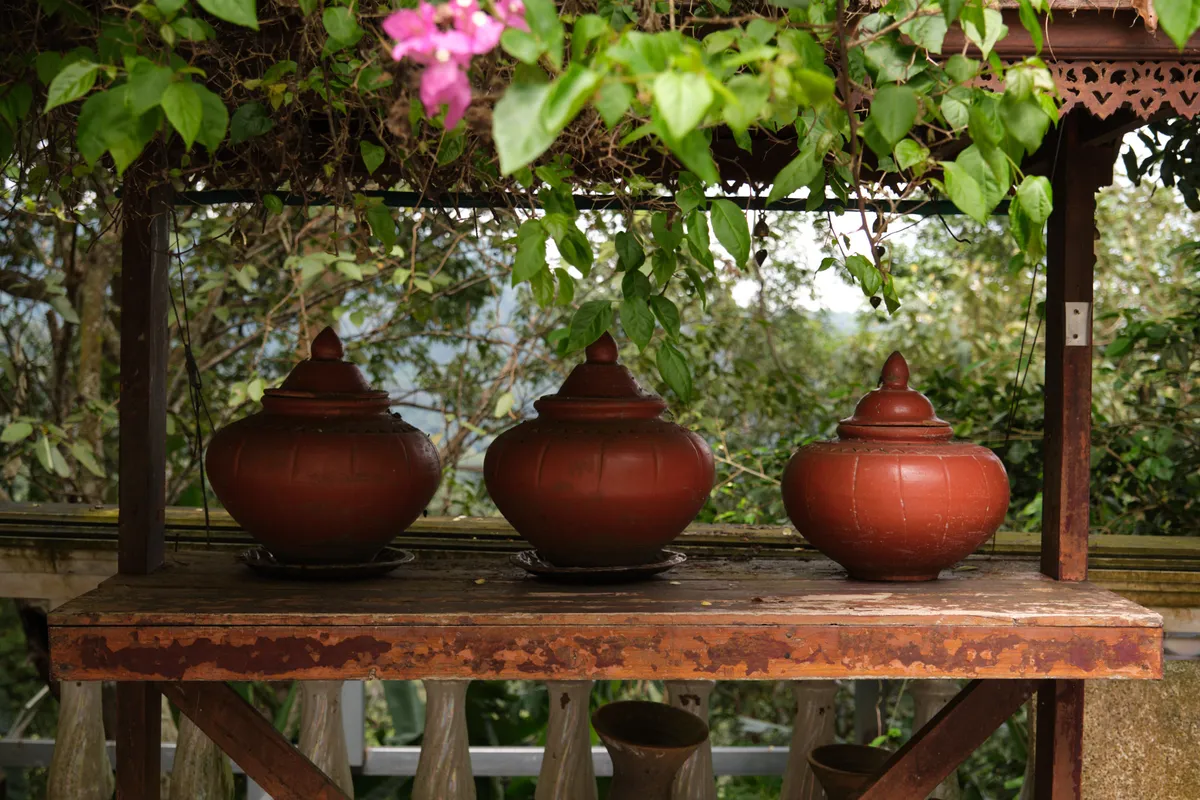 Three traditional clay jars with pointed lids stand side by side on a weathered wooden table with peeling paint. The bulbous, reddish-brown vessels have vertical ridges and rest on small saucers. The table sits beneath a wooden canopy with decorative carvings along the roof edge. Lush green foliage and pink bougainvillea blossoms spill over the canopy. In the background, tropical vegetation with various trees and shrubs can be seen. Beneath the table stand two small brass cups. The scene conveys a calm, rural atmosphere typical of Southeast Asia, where such clay vessels are traditionally used to store drinking water.