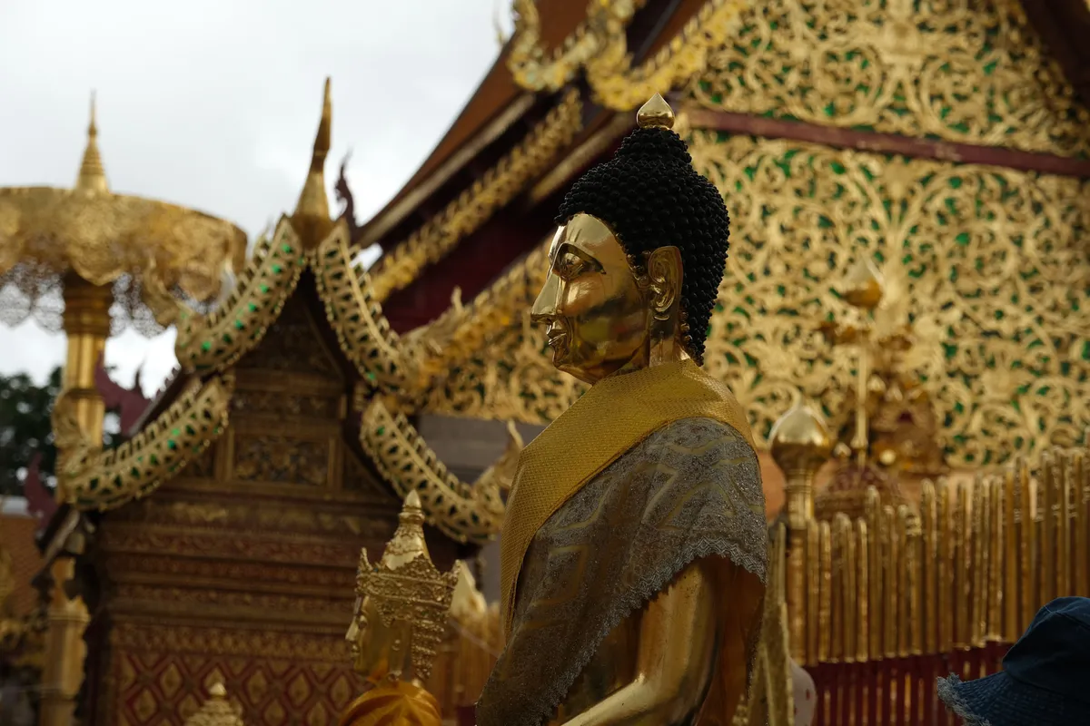 A golden Buddha statue shown in profile, clad in a gold and silver robe, set against the magnificent backdrop of a Thai temple. The statue has a gleaming golden face with distinct features and black, pearl-like curls atop the head, crowned by a golden spire. In the background extends the elaborately decorated temple architecture with intricate golden ornaments, green glass inlays, curved roof gables with Naga decorations, and golden columns. The scenery points to Wat Phra That Doi Suthep in Chiang Mai, Thailand. The sky is overcast and gray, bringing the warm gold tones of the temple complex into striking contrast.