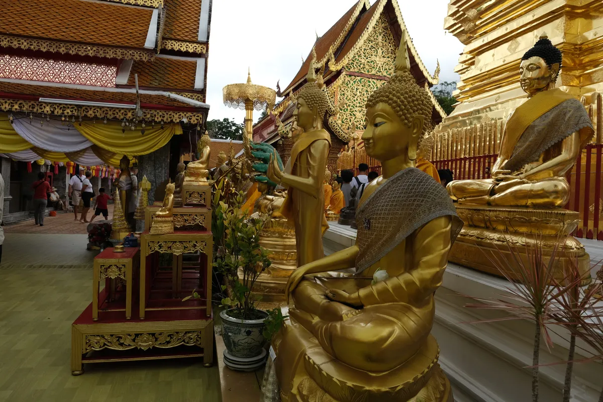 Golden Buddha statues of various sizes in the courtyard of a Thai temple, likely Wat Phra That Doi Suthep in Chiang Mai. In the foreground sits a large golden Buddha figure in meditation posture, adorned with an elaborately decorated robe and a flame-shaped headdress. Behind it line up additional golden Buddha statues, including a particularly large seated figure on the right side of the image. The temple architecture displays typical Lanna-style elements with richly decorated golden gables, intricate carvings, and red-and-gold ornaments. Yellow and white fabric banners drape the entrances of the temple buildings. In the background, visitors and a Buddhist monk in an orange robe can be seen. Flowerpots with green plants stand between the statues, and a golden tiered parasol (Chattra) rises into the slightly cloudy sky.