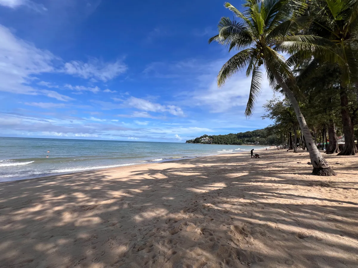 An expansive golden sand beach in Kamala, Kathu District, Phuket Province, Thailand. A tall coconut palm leans from the right over the beach, casting long shadows on the fine sand. The calm, turquoise sea stretches to the left toward the horizon, where gentle waves break on the shore. In the background, a forested, green ridge of hills frames the bay. Along the right edge of the beach, additional palms and tropical trees line up side by side. Scattered figures can be seen in the distance on the beach. The sky is bright blue with a few white cloud wisps, suggesting a sunny tropical day. Orange buoys float in the shallow water near the coast.