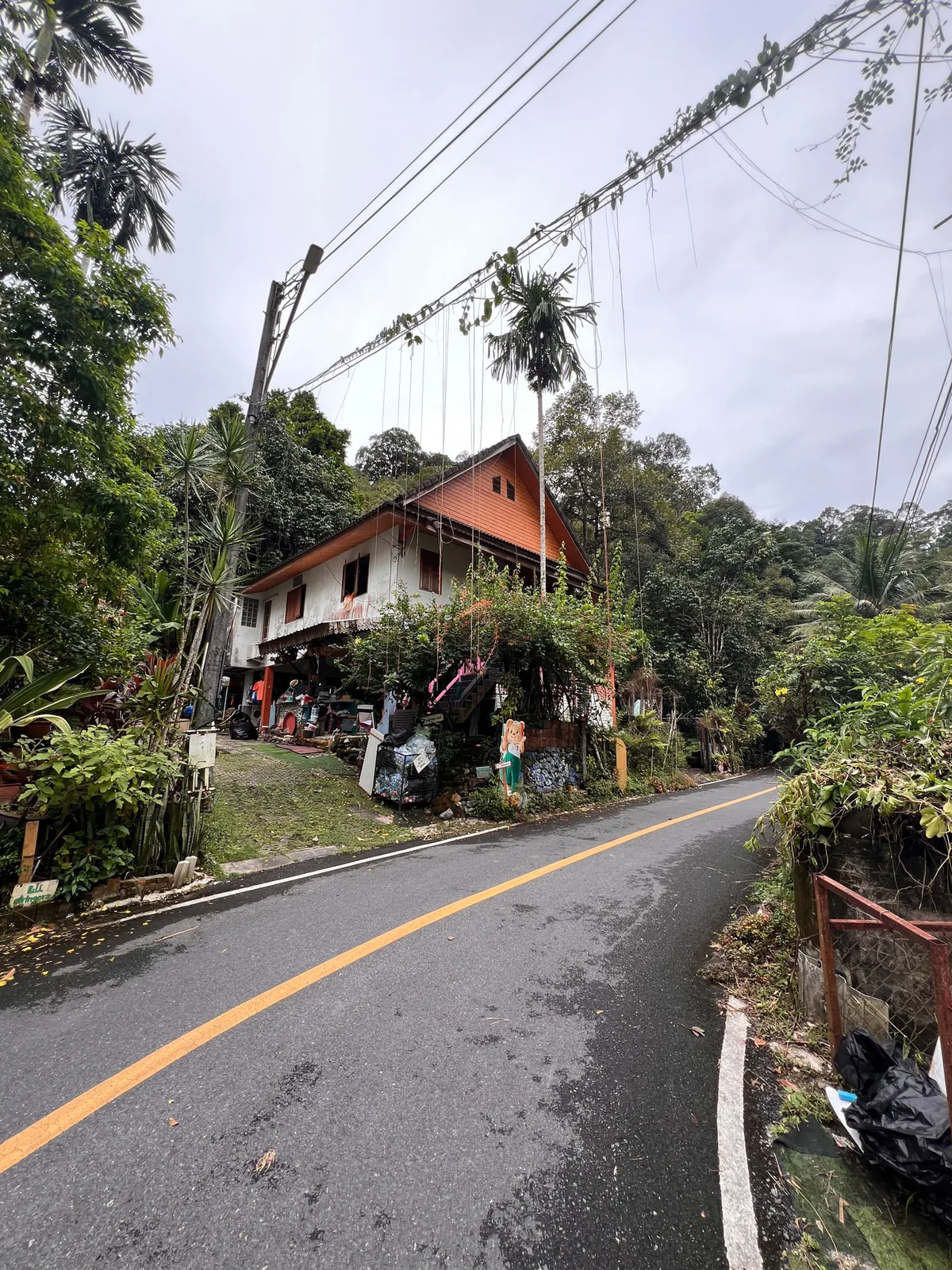 A winding asphalt road with a yellow center line and white edge markings weaves through a lushly overgrown tropical environment in Kamala, Kathu District, Phuket Province, Thailand. On the left side of the road stands a two-story house with white walls and a striking orange gabled roof, surrounded by dense tropical vegetation of palms, banana plants, and various green plants. In front of the house are various items and a small shop display with clothing. A decorative figure in the form of a cartoon character stands by the roadside. Power poles with drooping cables crisscross the scene. The sky is overcast and gray, indicating the rainy season. The road is damp and slightly glistening. On the right side of the road, a red metal railing bounds the path, behind which more dense greenery of the tropical rainforest extends.