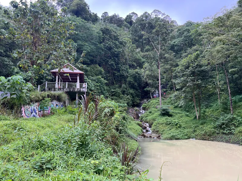 A small wooden pavilion stands elevated on a concrete platform at the edge of dense, green forest. Graffiti covers the lower concrete wall beneath the structure, contrasting with the surrounding natural scenery. Thick vegetation, tall trees, and layered foliage fill the landscape. To the right, a narrow stream flows down rocks from deeper within the forest and empties into a calm, pale-colored pond at the bottom of the scene. The entire area appears quiet, overgrown, and surrounded by untouched greenery.