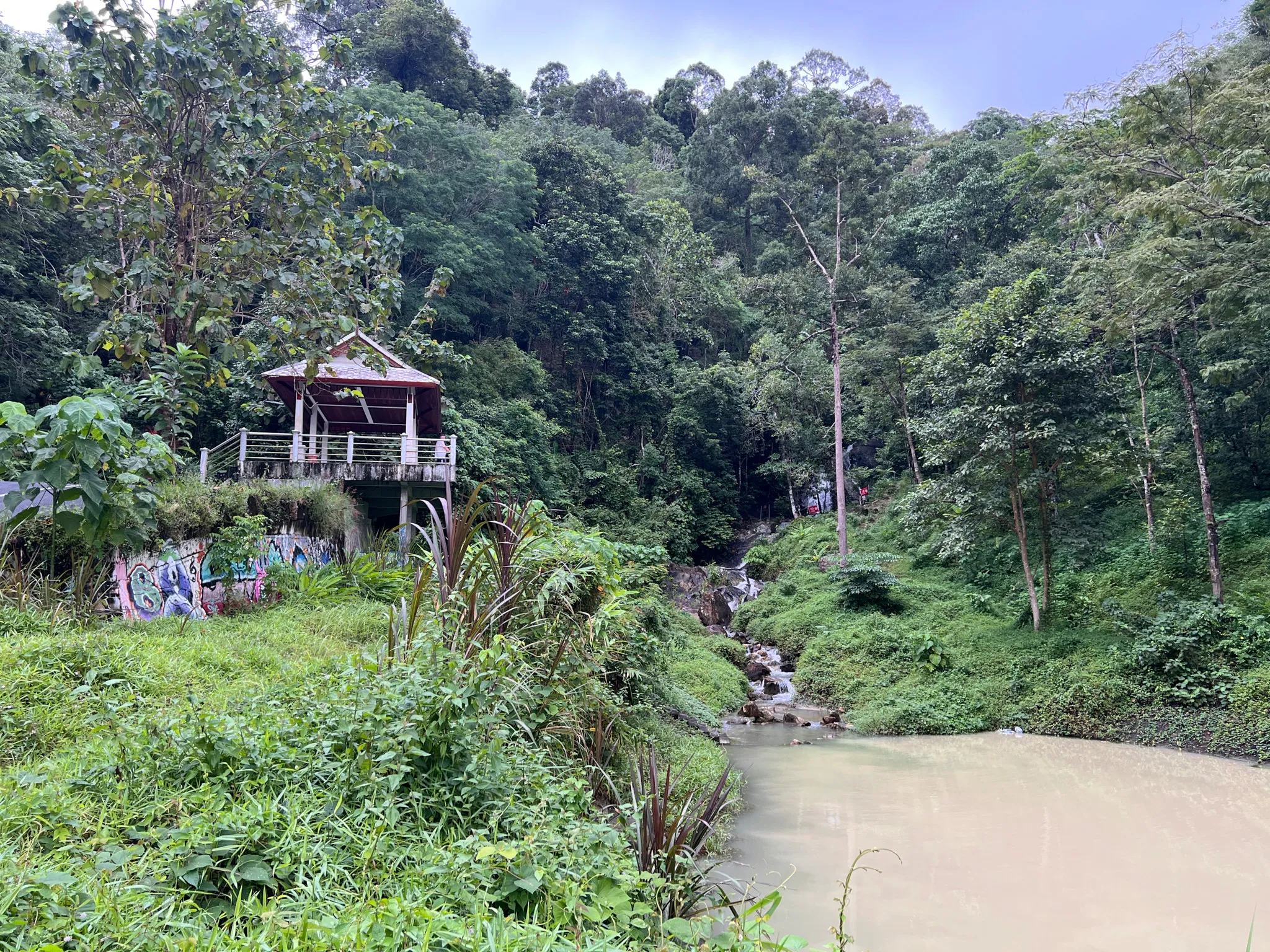 A small wooden pavilion stands elevated on a concrete platform at the edge of dense, green forest. Graffiti covers the lower concrete wall beneath the structure, contrasting with the surrounding natural scenery. Thick vegetation, tall trees, and layered foliage fill the landscape. To the right, a narrow stream flows down rocks from deeper within the forest and empties into a calm, pale-colored pond at the bottom of the scene. The entire area appears quiet, overgrown, and surrounded by untouched greenery.